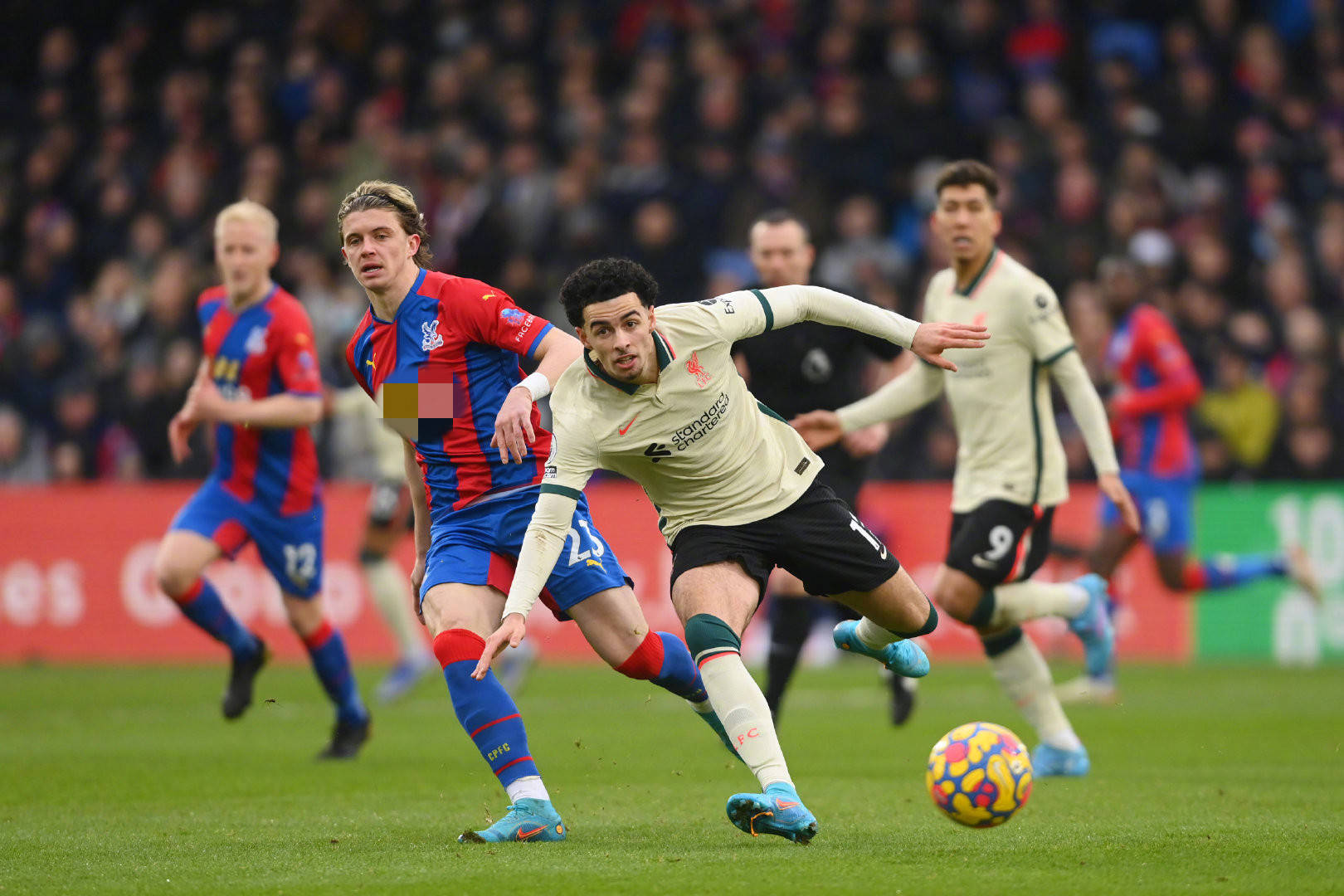 面前从容不 面前从容不